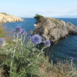 https://apartamento-punta-montgo-port-de-rei.catalonia-hotels.com